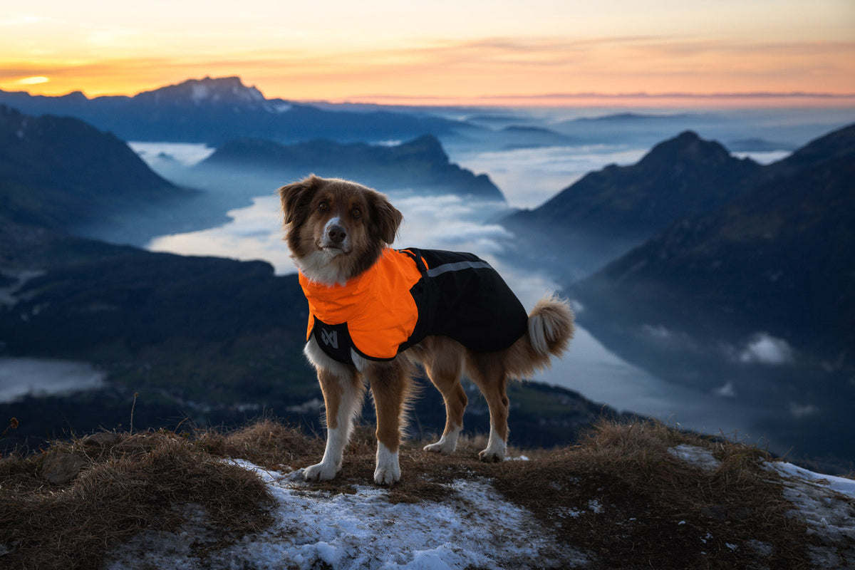 Fjord raincoat 2.0
